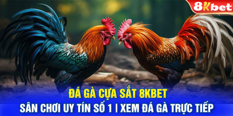 Đá Gà Cựa Sắt 8KBET: Sân Chơi Uy Tín Số 1 | Xem Đá Gà Trực Tiếp